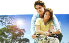 星苹果乐园富豪结婚,豪门盛宴，爱情童话成真