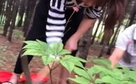 锄头小姐姐,田园生活中的诗意与力量